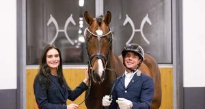 Top auction price for Hanoverian Lampo di Fonteaubeti
