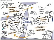 What is welfare? A study into perceptions of equine welfare