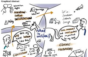 What is welfare? A study into perceptions of equine welfare