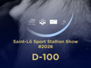 20th Edition of Saint-Lô Sport Stallion Show