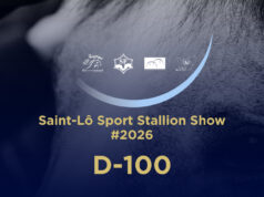 20th Edition of Saint-Lô Sport Stallion Show