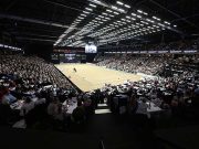 Danish Warmblood: Togetherness and professionalism in focus