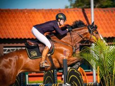 Adriana Busato: Exclusively using high quality performance mares