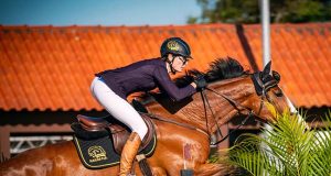 Adriana Busato: Exclusively using high quality performance mares