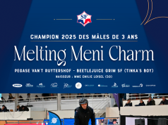 SF stallion licensing, and the eagerly awaited ‘N’ generation