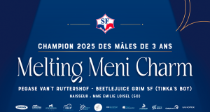 SF stallion licensing, and the eagerly awaited ‘N’ generation