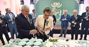 Warmest congratulations PZHK! Celebrating a 130th anniversary