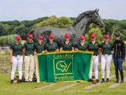 A youngster with impressive gaits, bred over generations for dressage potential: Tottenham by Total McLaren x Lord Loxley