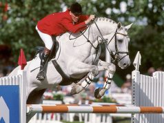 Flanders Memorial Eric Wauters combines tradition and breeding