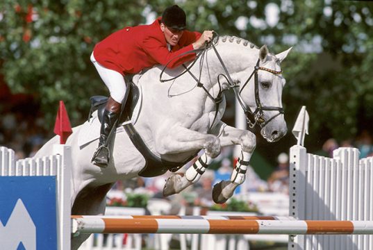 Flanders Memorial Eric Wauters combines tradition and breeding