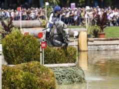 Breeding KWPN eventing horses from a professional viewpoint
