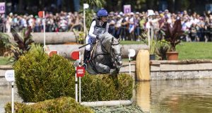 Breeding KWPN eventing horses from a professional viewpoint