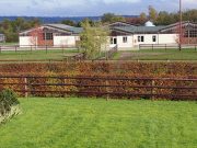 How Equitechnic successfully confronted EVA and bounced back