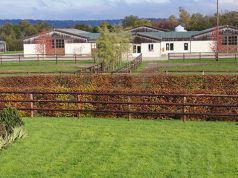 How Equitechnic successfully confronted EVA and bounced back