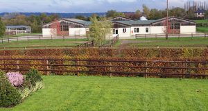 How Equitechnic successfully confronted EVA and bounced back