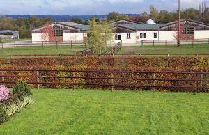 How Equitechnic successfully confronted EVA and bounced back