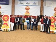 Heartbreaker, Feliciano, and Sir Heinrich produce champions