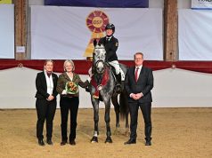 Floricello named Elite Stallion during DSP awards’ ceremony