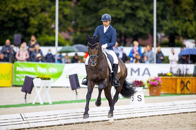 The new stallion star whose genes are flooding breeding