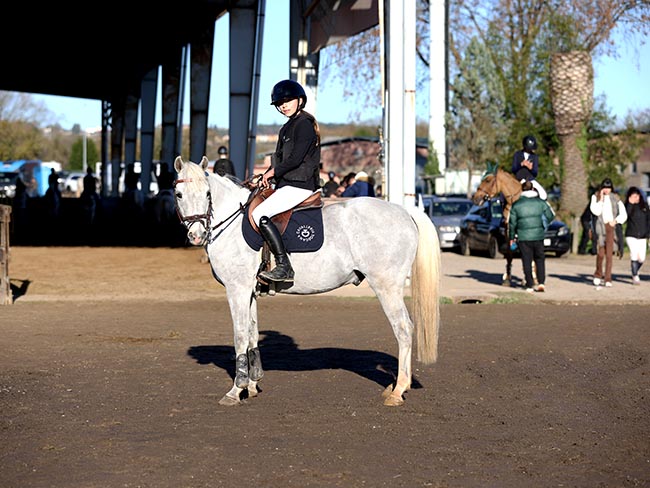 A unique pony son of Mylord Carthago making waves in Spain