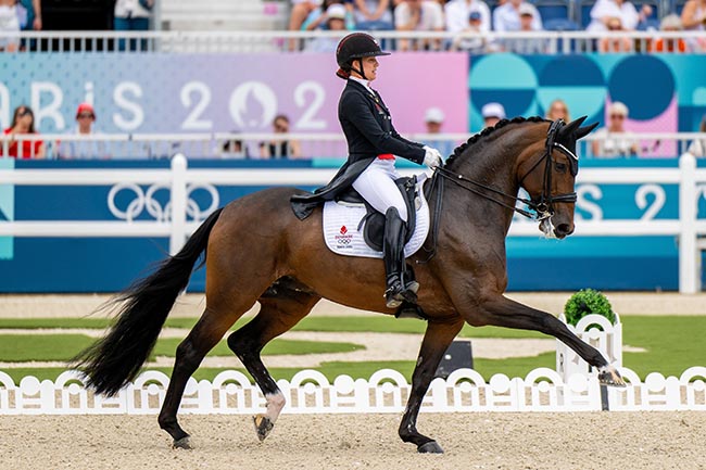 Shaping the future of dressage: Breeding meets performance