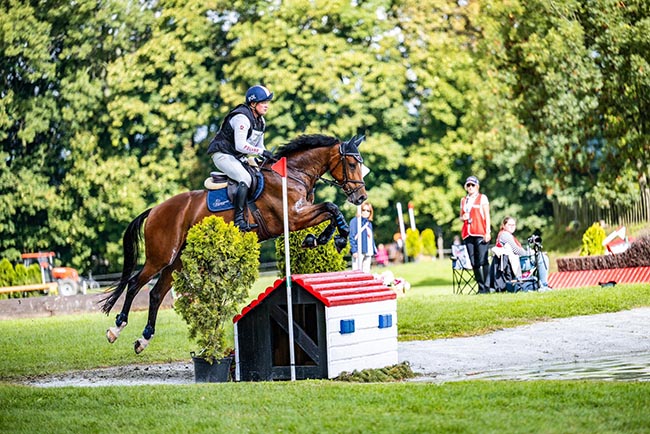 Amelie du Chateau M and Dzarus AA in eventing support program