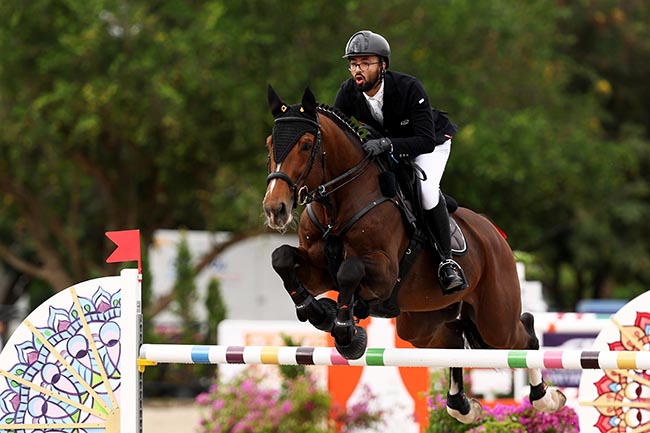 Stoeterij van Paemel says a sad “farewell” to Cicero