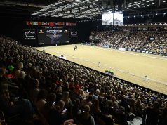 Over 61,000 visitors celebrate the ‘horse’ in Herning