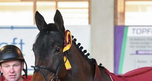 DSP Future Stars 2026 see top-class young horses