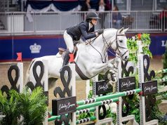 CWHBA celebrates excellence with 2025 year-end achievements