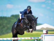 SWB announces 2025 Stallion of the Year in jumping and dressage