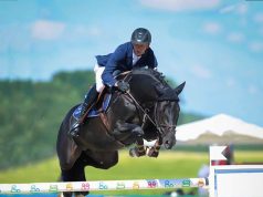 SWB announces 2025 Stallion of the Year in jumping and dressage