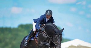SWB announces 2025 Stallion of the Year in jumping and dressage