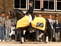 For Dance – Hanoverian Grande Prize 2026: From a good family