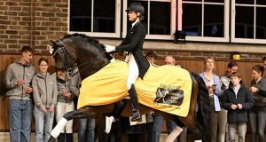 For Dance – Hanoverian Grande Prize 2026: From a good family