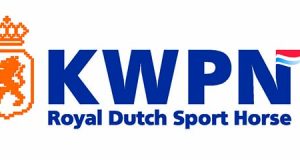 Where do we go from here? The future of showjumping b