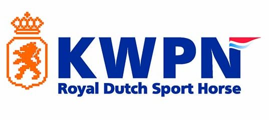 Where do we go from here? The future of showjumping b