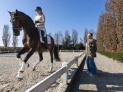 Rebecca Dudley: “Big movers are not always top horses later on”