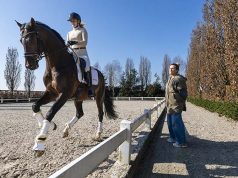 Rebecca Dudley: “Big movers are not always top horses later on”