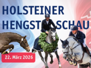 Holsteiner Verband Stallion Show