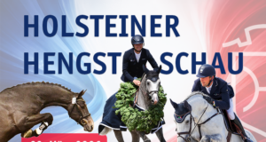 Holsteiner Verband Stallion Show