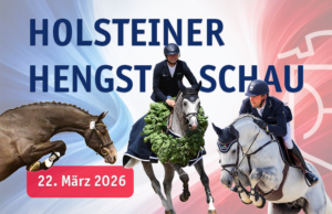 Holsteiner Verband Stallion Show