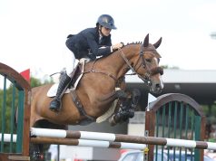 Uvettas: A benchmark in the Spanish Sport Horse Studbook