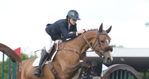 Uvettas: A benchmark in the Spanish Sport Horse Studbook