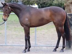 “What a mission!” – 2026 NZWA Classification Tour