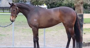 “What a mission!” – 2026 NZWA Classification Tour