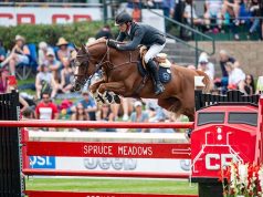 Why start from scratch when the breeding blueprint already exists?