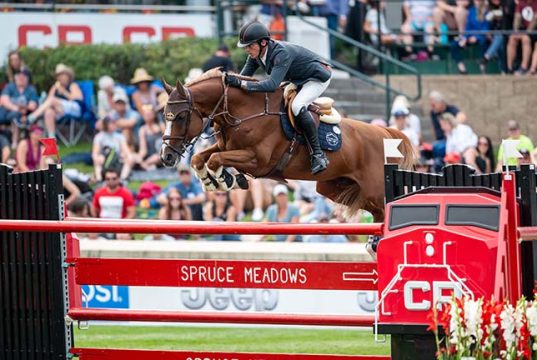 Why start from scratch when the breeding blueprint already exists?