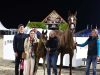 Horses & Dreams attracts foreign buyers as well as locals