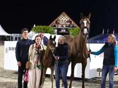 Horses & Dreams attracts foreign buyers as well as locals